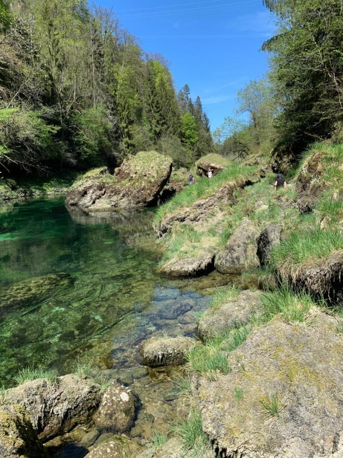 Ferienhaeuschen Am Traunsee Mit Tretboot Zur Freien Nutzung Am Badeplatz Альтмюнстер Экстерьер фото
