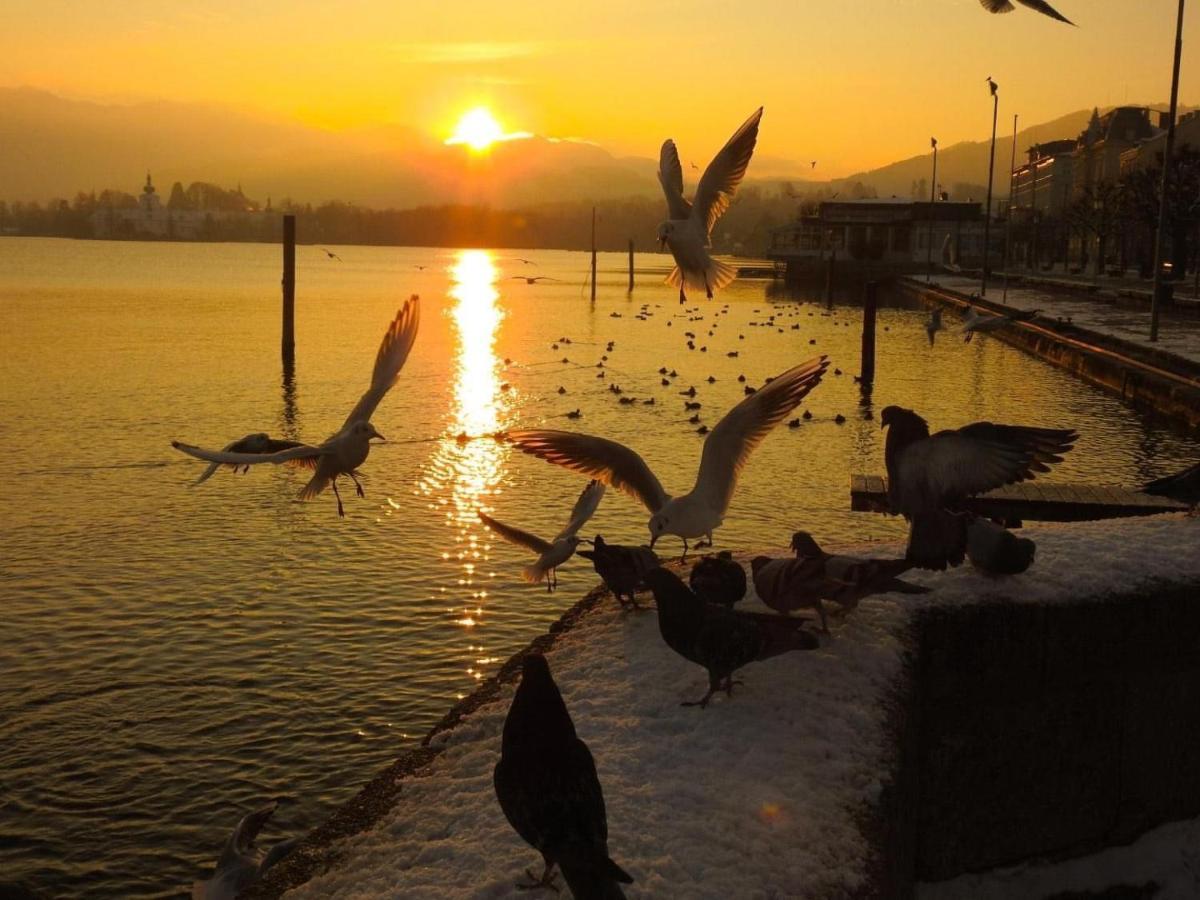 Ferienhaeuschen Am Traunsee Mit Tretboot Zur Freien Nutzung Am Badeplatz Альтмюнстер Экстерьер фото